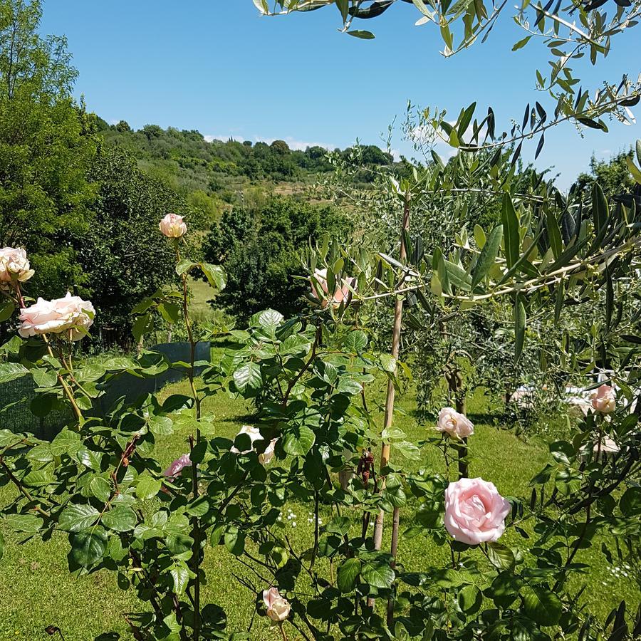 L'Albero Di Gameli Bed & Breakfast Chiusi Eksteriør bilde