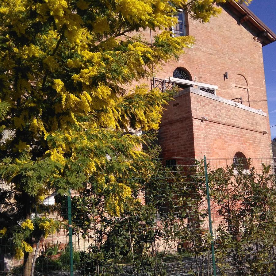 L'Albero Di Gameli Bed & Breakfast Chiusi Eksteriør bilde