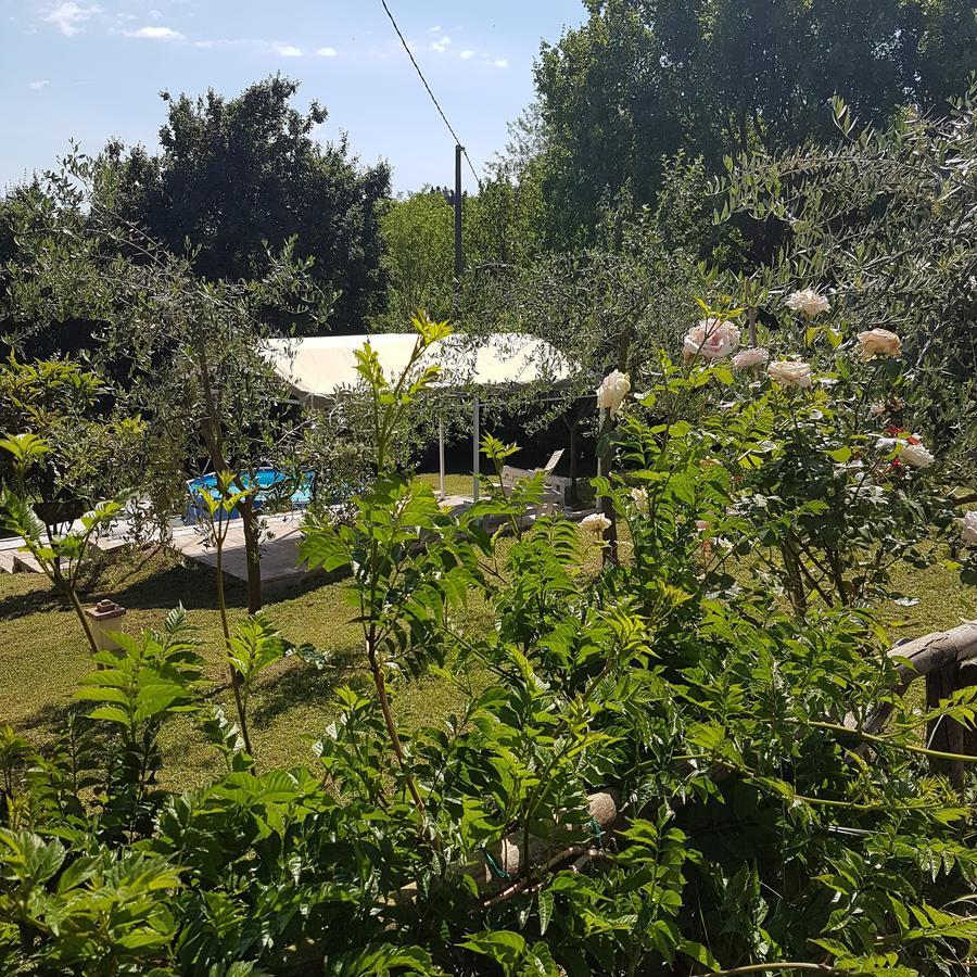 L'Albero Di Gameli Bed & Breakfast Chiusi Eksteriør bilde